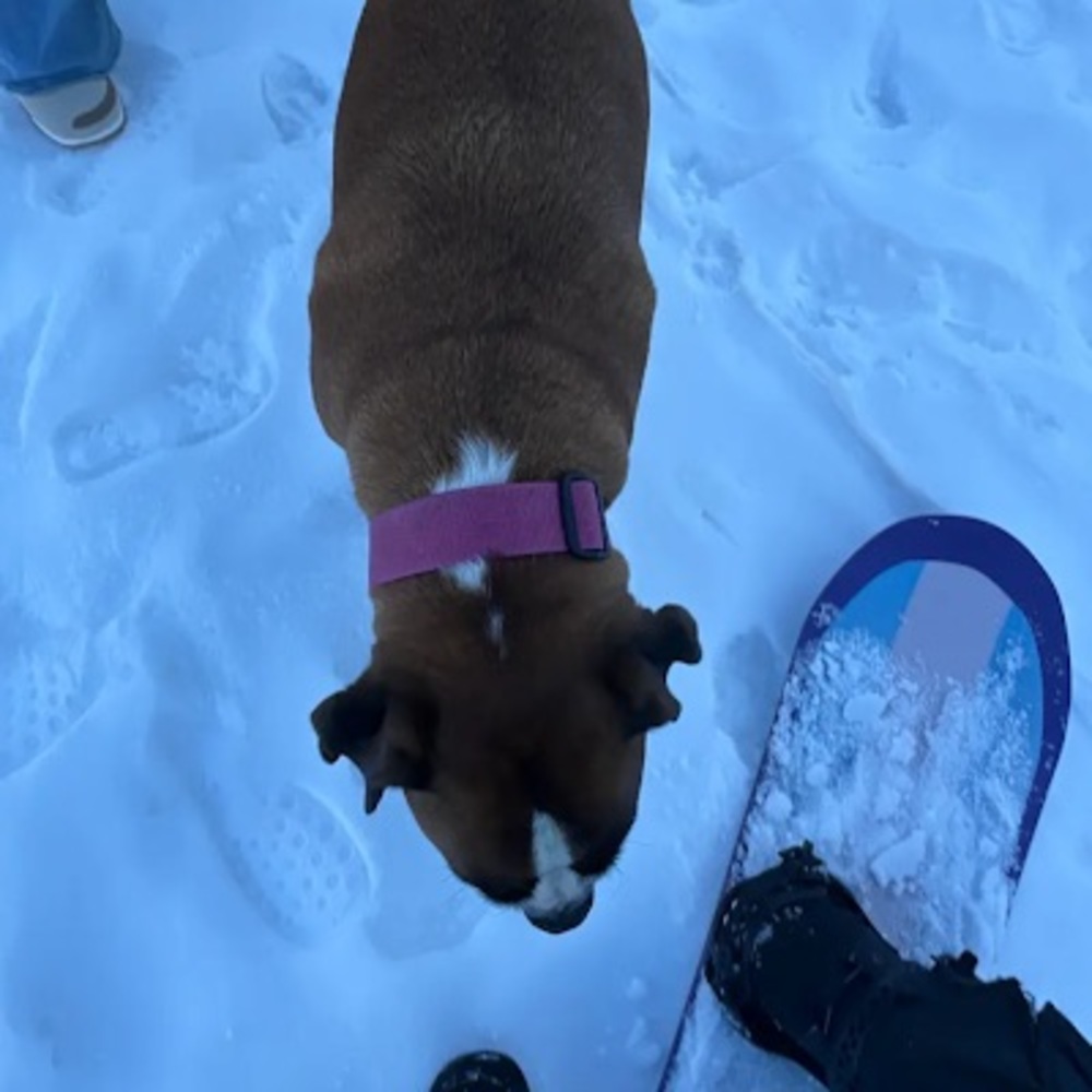 Meet your Posher, Gabriela